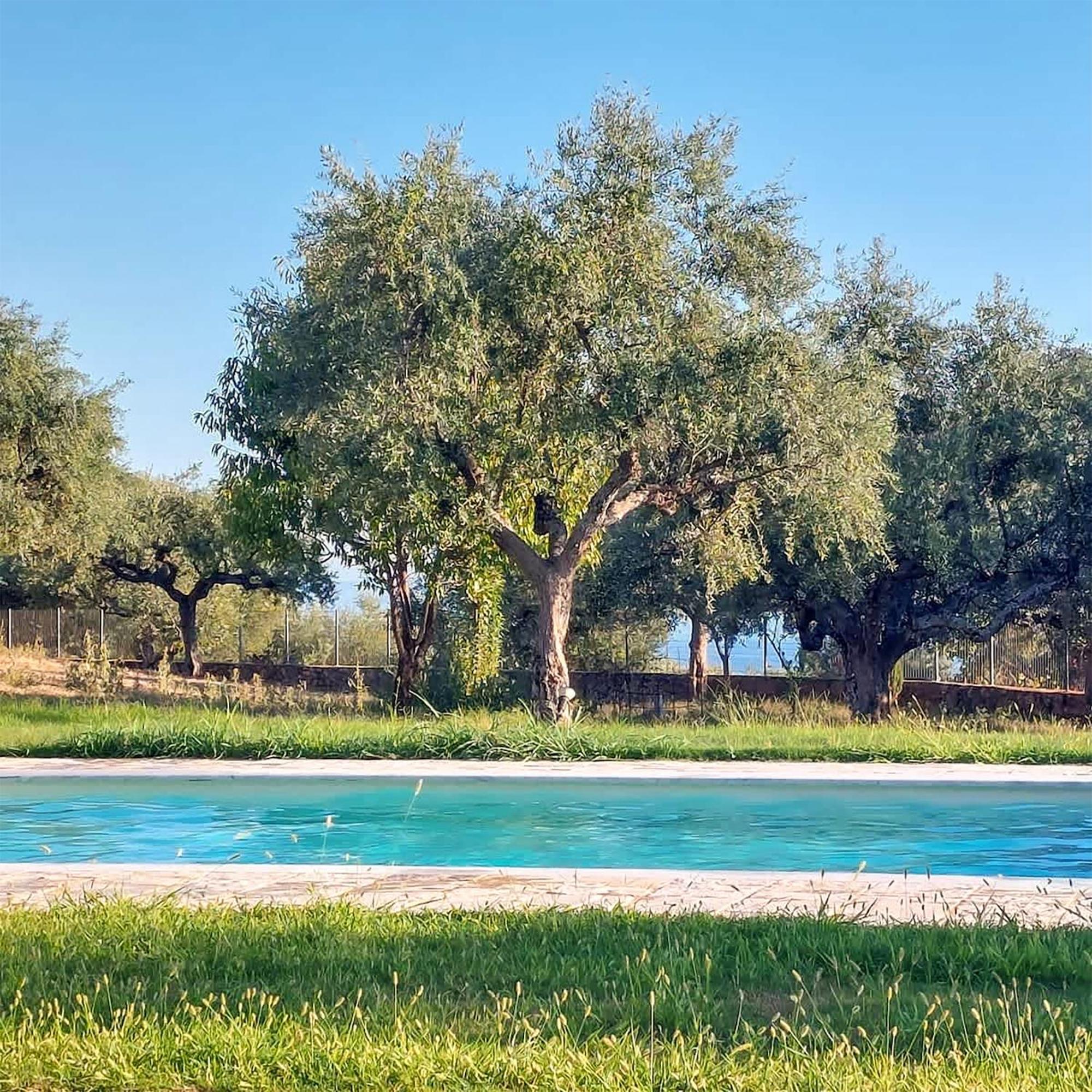 Villa Eleni - Private Pool Bliss Near Kardamili Proástion Exterior foto